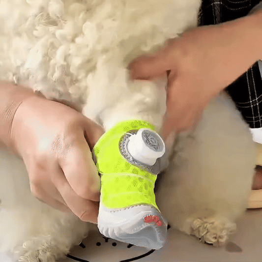 Labubu Twist™ – Det virala telefonskalet