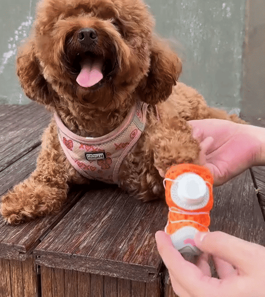 Tasskydd™ – För tryggare promenader